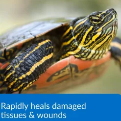 API Turtle Fix Antibacterial Turtle Remedy (8 oz)