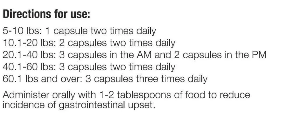 Apocaps CX Apoptogen Formula for Dogs