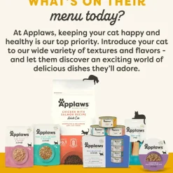 Applaws Chicken with Pumpkin Bits in Broth Wet Cat Food, 2.47-oz pouch, case of 12