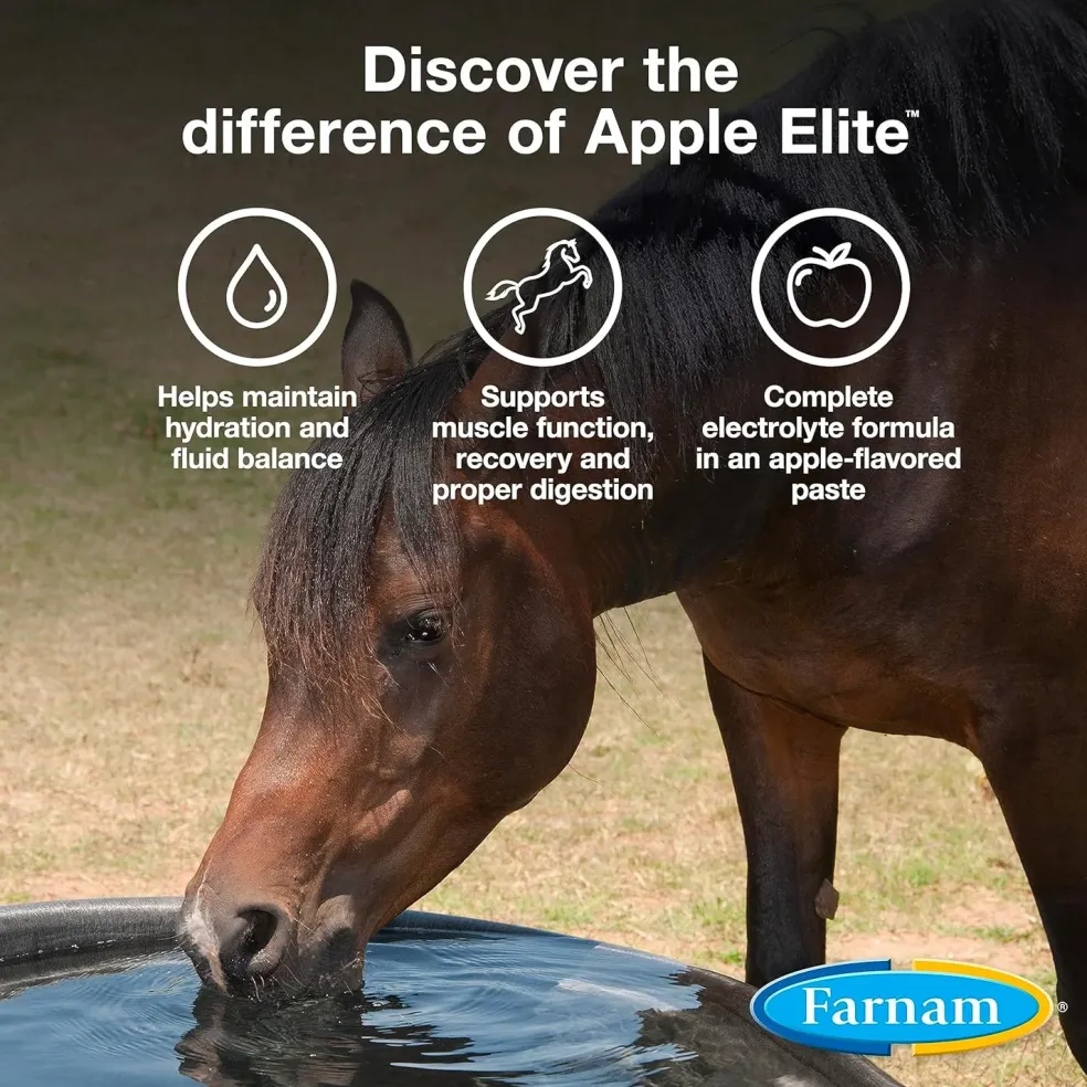 Apple Elite Electrolyte Paste Horse Supplement (60 ml)