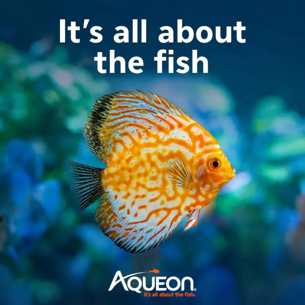 Aqueon AquaPacs Sludge Remover