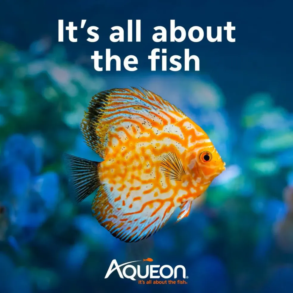 Aqueon AquaPacs Water Clarifier