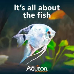 Aqueon Aquarium Essentials Kit