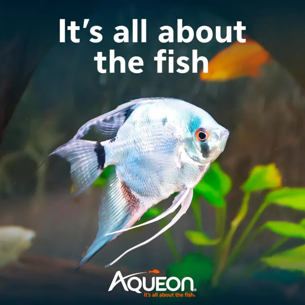 Aqueon Aquarium Essentials Kit