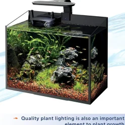 Aqueon Aquarium Plant Nutrients Food