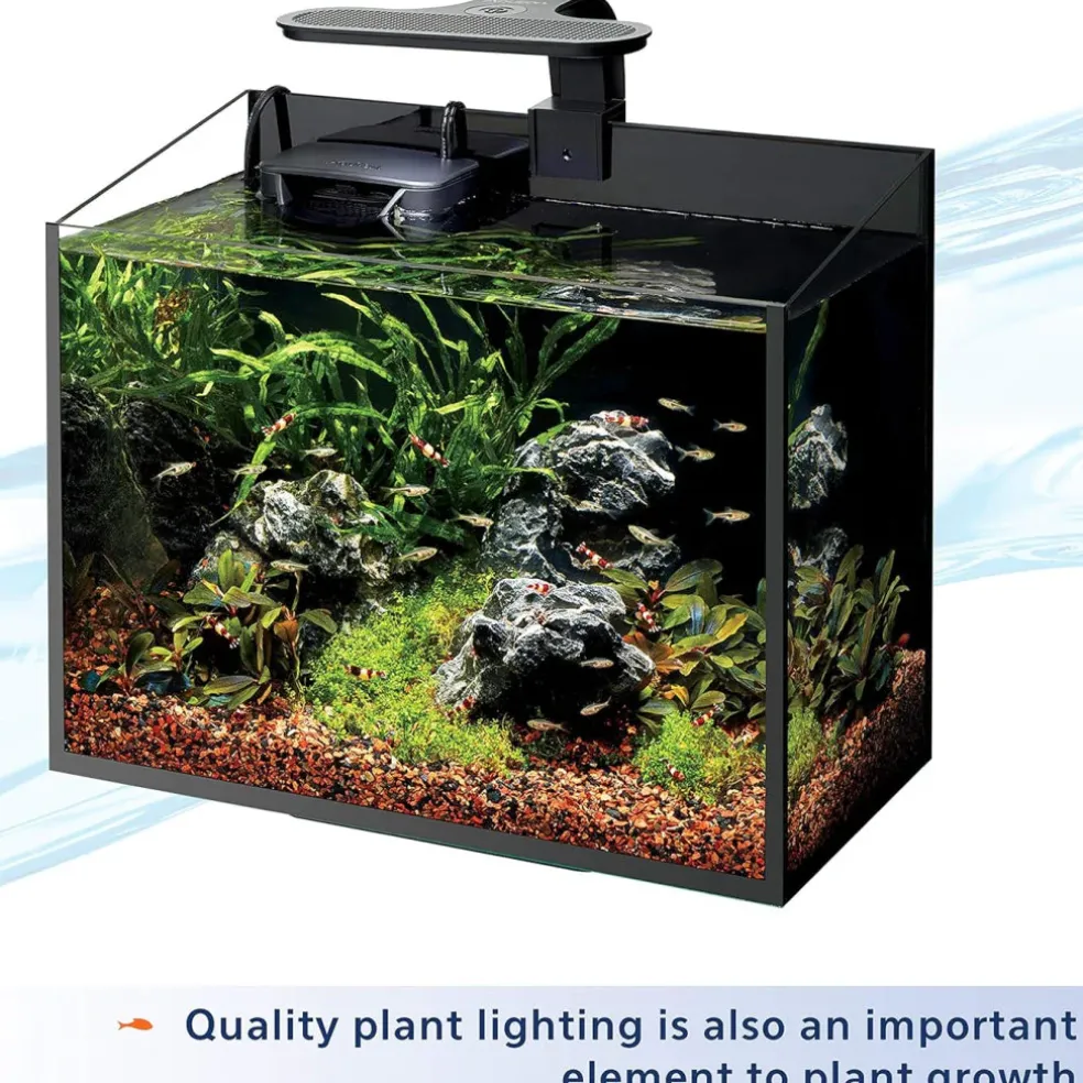 Aqueon Aquarium Plant Nutrients Food