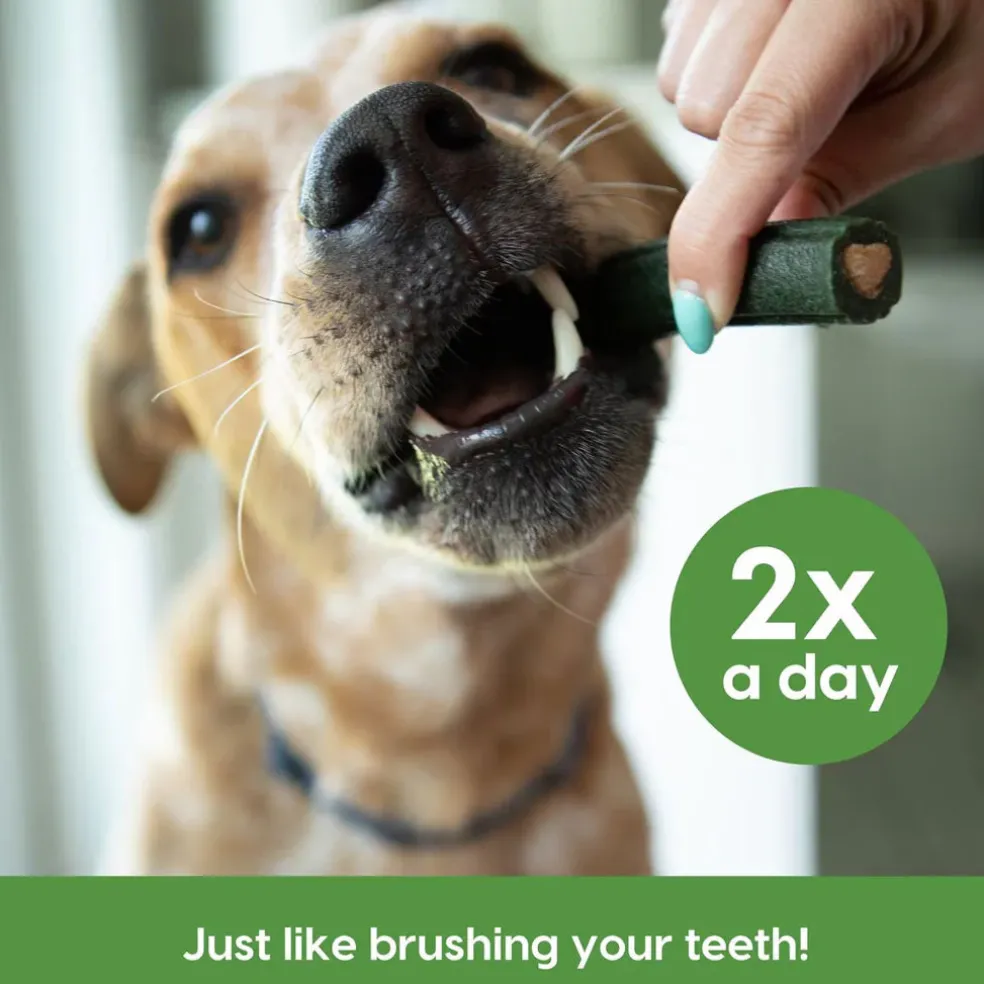 Ark Naturals Brushless Toothpaste Dental Chews 4-in-1 for Large Dogs, 40-count
