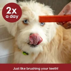 Ark Naturals 5-in-1 Protection Brushless Toothpaste Dental Chews for Medium Breed Dogs, 18-oz