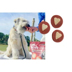 Ark Naturals 5-in-1 Soft Shield Protection+ Brushless Toothpaste Chews for Large Dogs (18 oz)