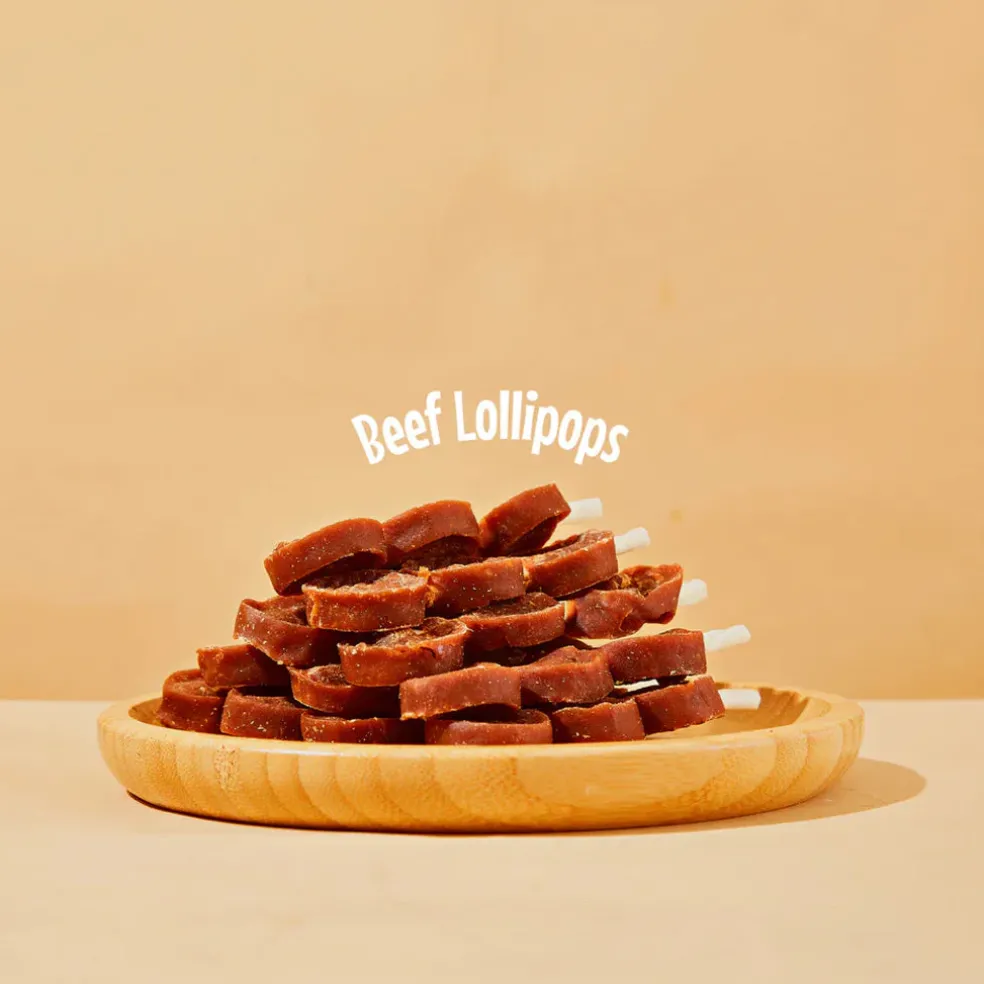 Arya Sit Dental Chew Beef Lollipop for Dogs & Cats