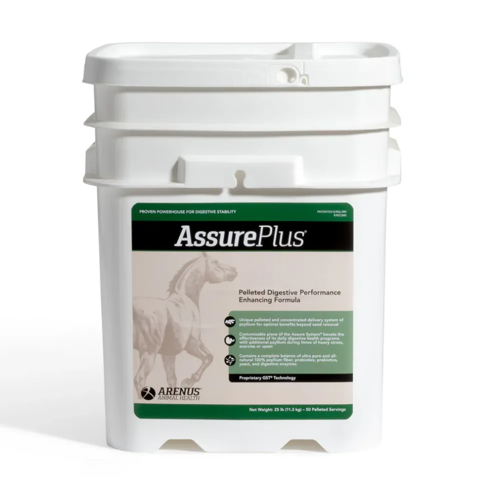 Assure Plus Pelleted Digestive Supplement for Horses