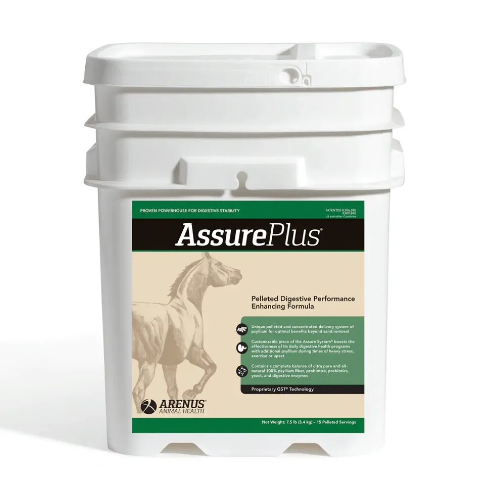 Assure Plus Pelleted Digestive Supplement for Horses