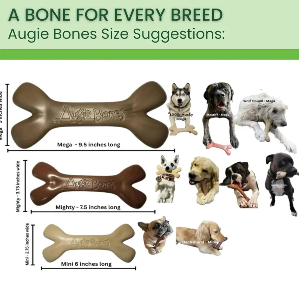 Augie Bones Plant Based Tough Dog Chew Toy