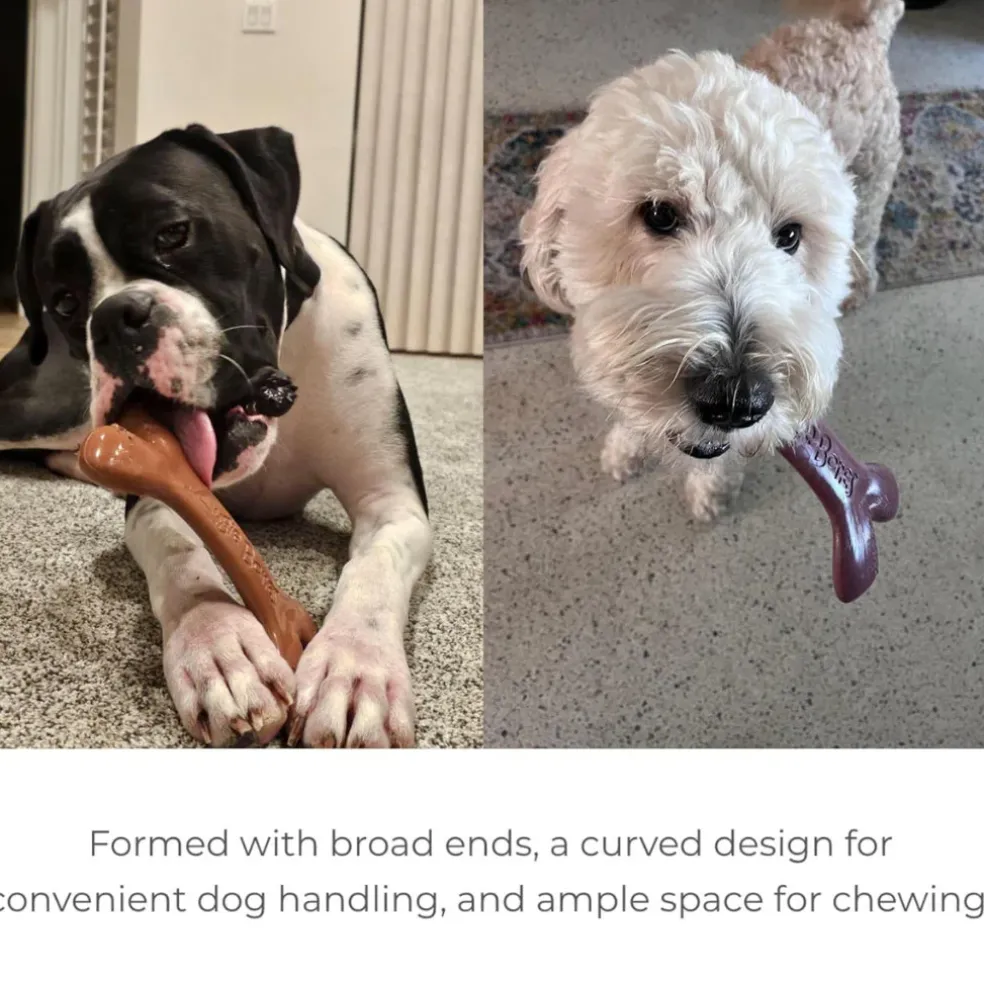 Augie Bones Plant Based Tough Dog Chew Toy