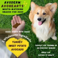 AvoDerm Natural AvoHearts Natural Dog Treats (5 oz)