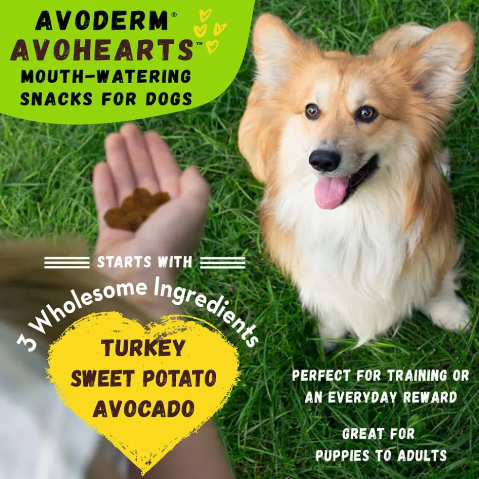AvoDerm Natural AvoHearts Natural Dog Treats (5 oz)