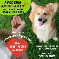 AvoDerm Natural AvoHearts Natural Dog Treats (5 oz)