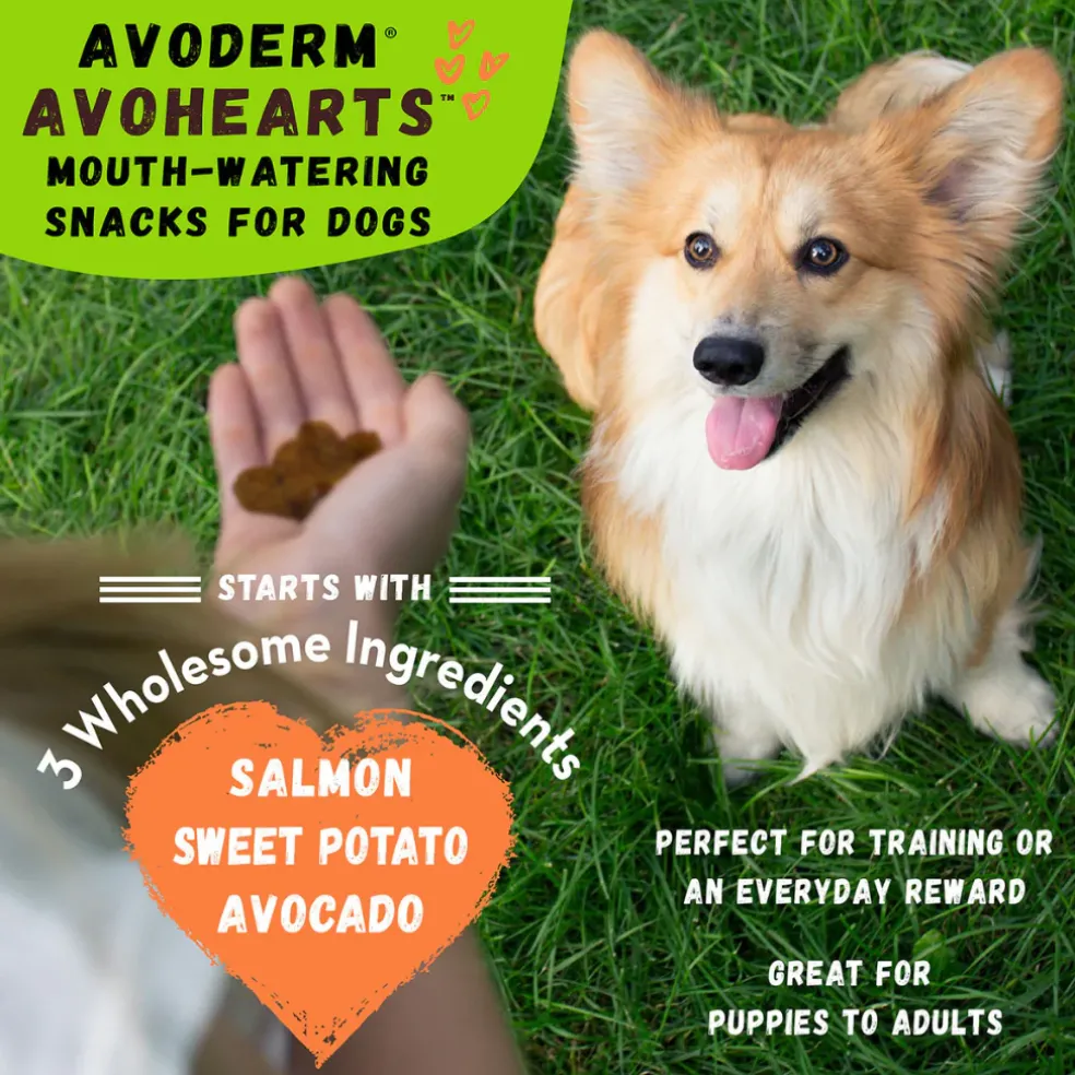 AvoDerm Natural AvoHearts Natural Dog Treats (5 oz)