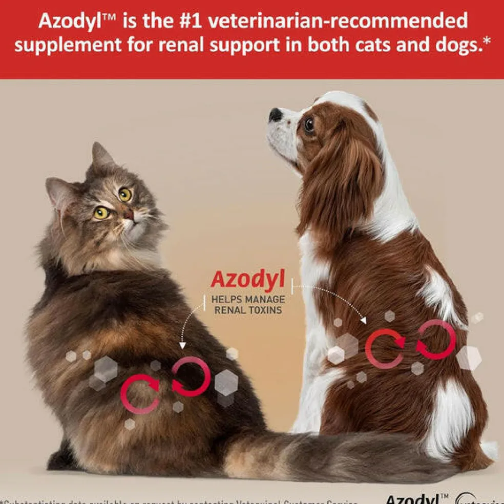 Azodyl Small Capsules - Renal Support Supplement for Cats and Dogs