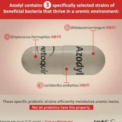 Azodyl Small Capsules - Renal Support Supplement for Cats and Dogs