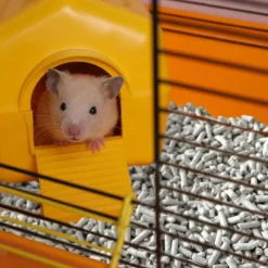 Back 2 Nature Small Animal Bedding & Litter