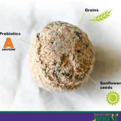 Backyard Boost Songbird Balls Enhanced Prebiotic Bird Treats (6 balls)