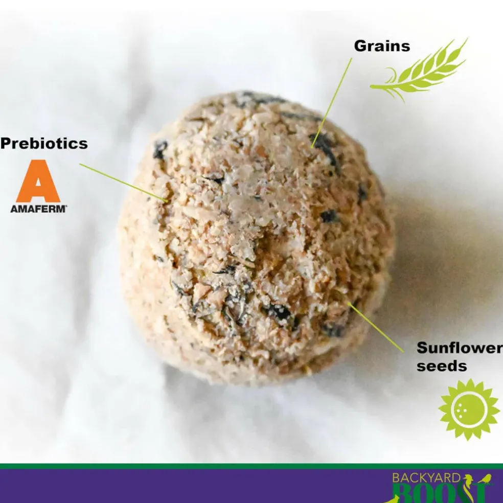 Backyard Boot Busy Balls For Digestion and Gut Health for Chickens (6 balls)