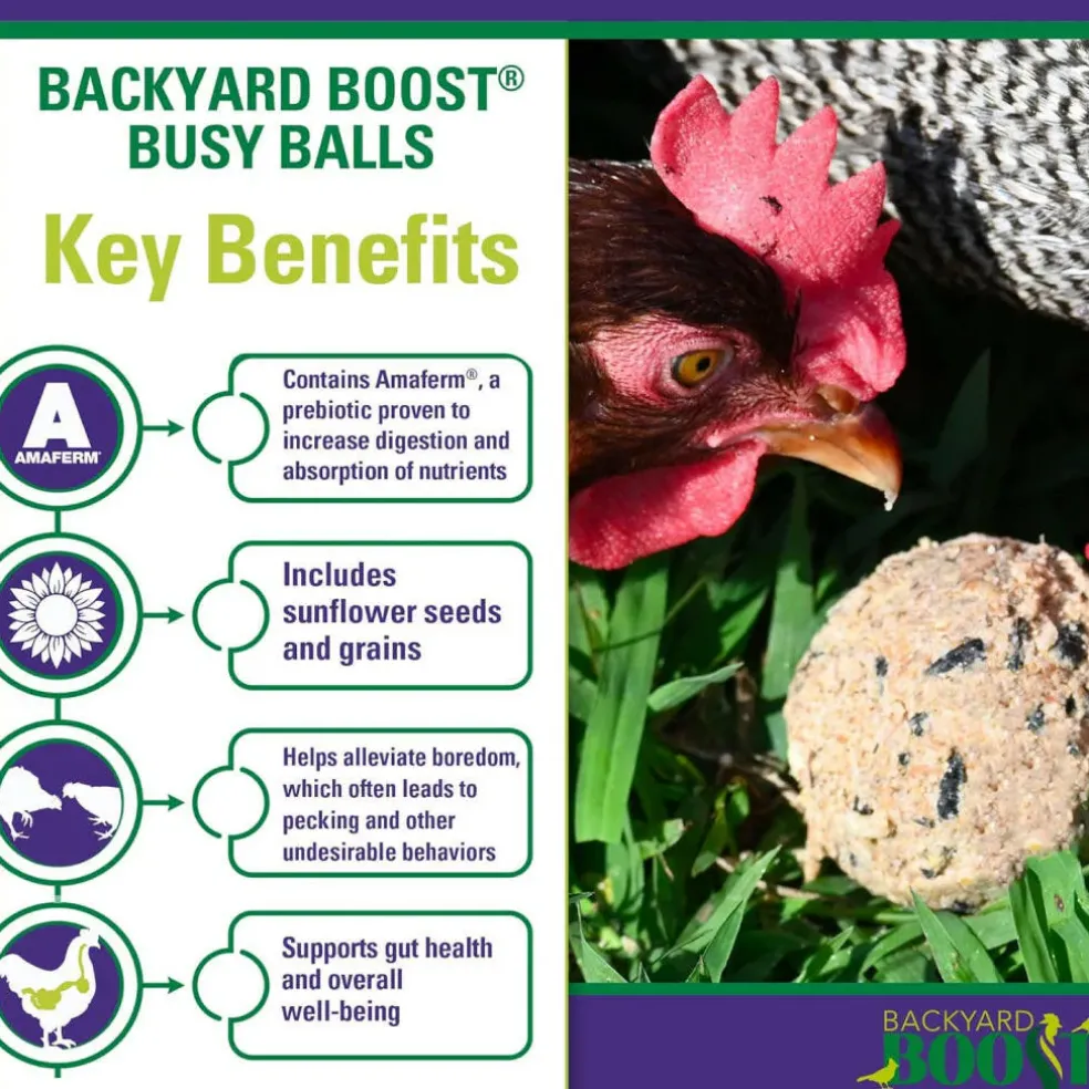 Backyard Boot Busy Balls For Digestion and Gut Health for Chickens (6 balls)