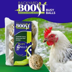 Backyard Boot Busy Balls For Digestion and Gut Health for Chickens (6 balls)