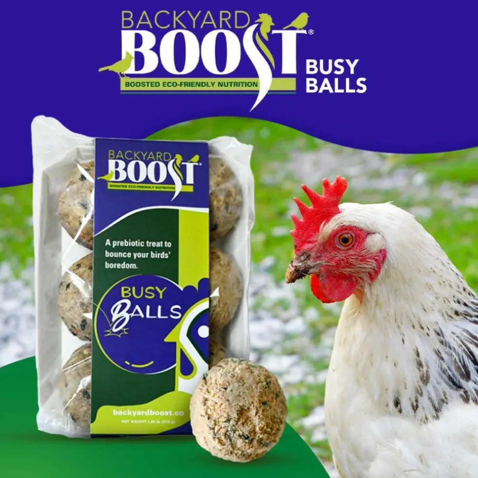 Backyard Boot Busy Balls For Digestion and Gut Health for Chickens (6 balls)