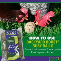 Backyard Boot Busy Balls For Digestion and Gut Health for Chickens (6 balls)