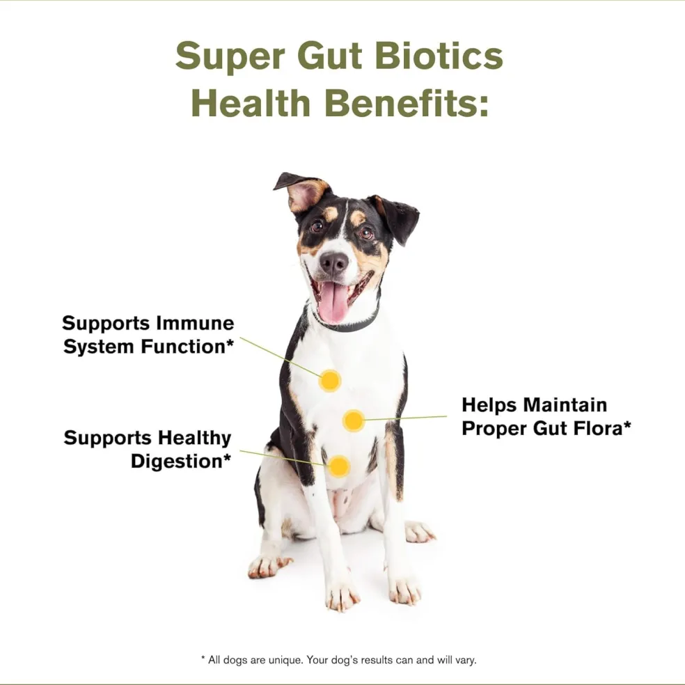 Badlands Ranch Super Gut Biotics Canine Health Supplement, 3.17-oz