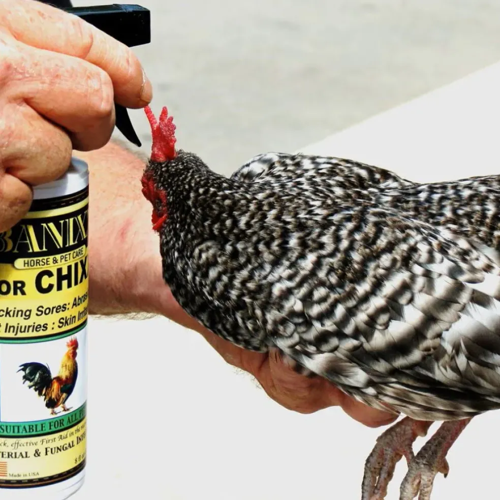 Banixx for Chixx Antibacterial & Antifungal Spray (8 oz)