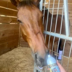 Banixx Premium Analgesic Liniment Spray for Horses (13.2 oz)