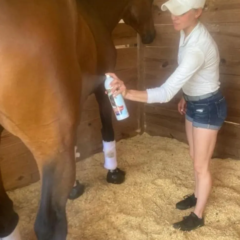 Banixx Premium Analgesic Liniment Spray for Horses (13.2 oz)