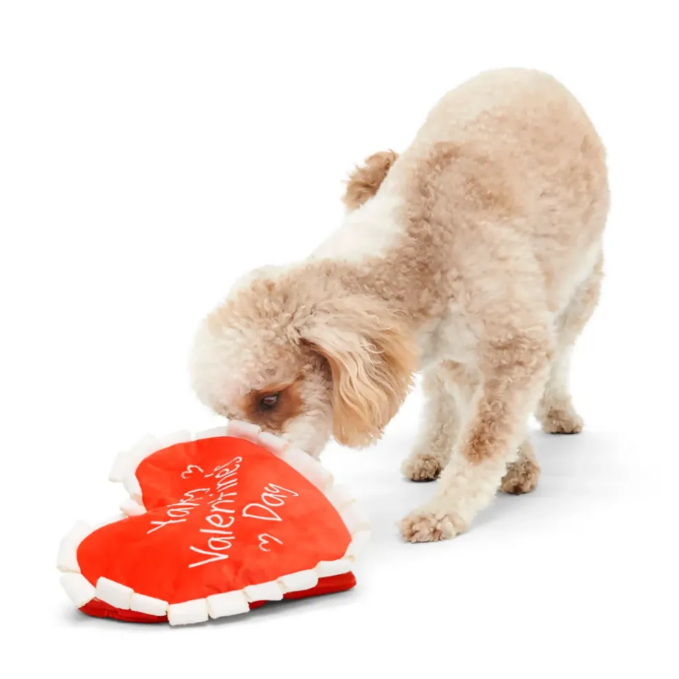 BARK Be Mine Growlentine, Heart-Shaped Plush & Squeaker Dog Toy