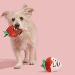 BARK Chocolick Strawberries Plush Dog Toy (Set of 2)