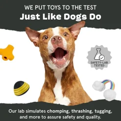 BARK Drop The Bass Rip & Reveal Fetch Tough Treat Dispensing Dog Chew Toy
