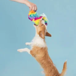 BARK Full o' Fluff Pinata Squeaky Plush Dog Toy