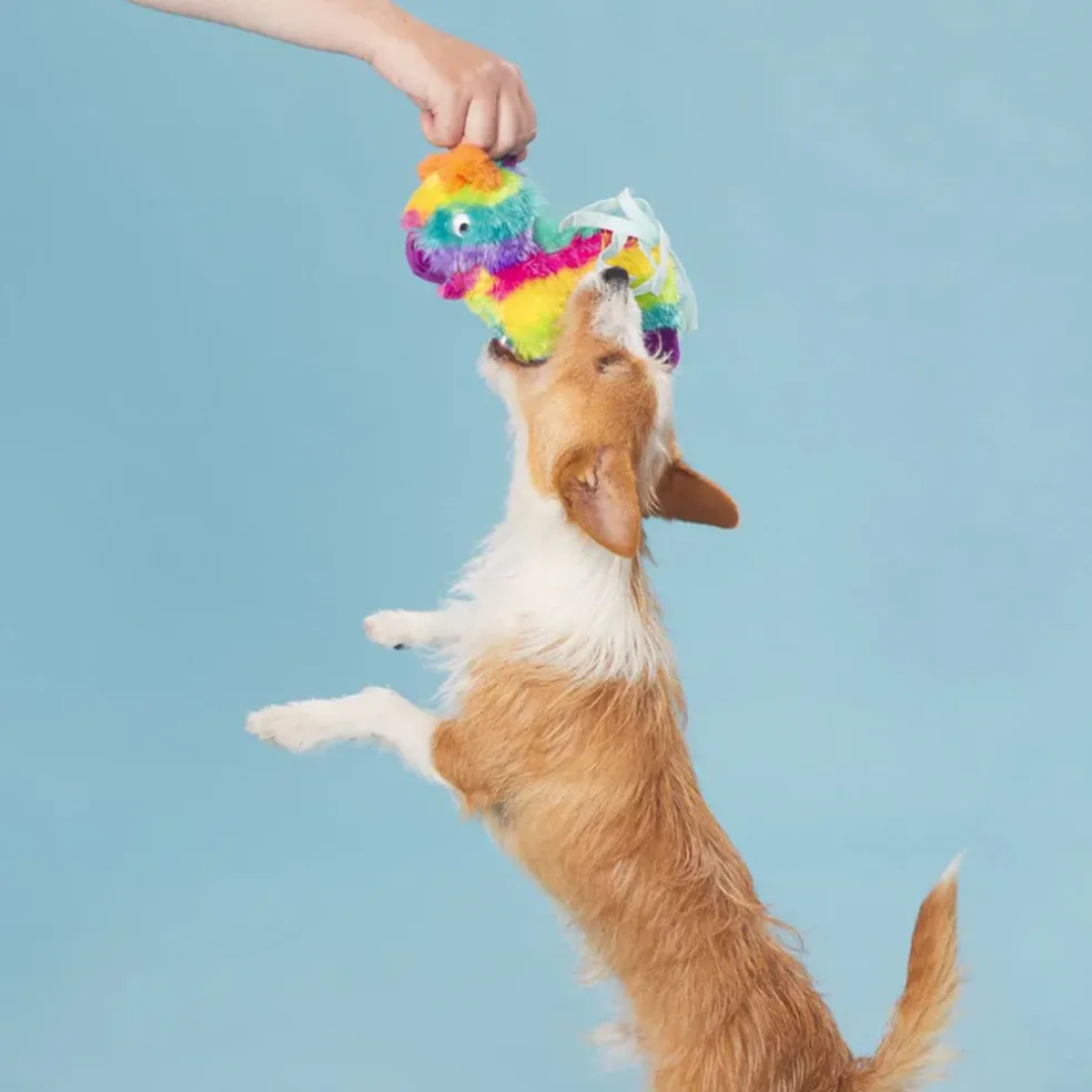 BARK Full o' Fluff Pinata Squeaky Plush Dog Toy
