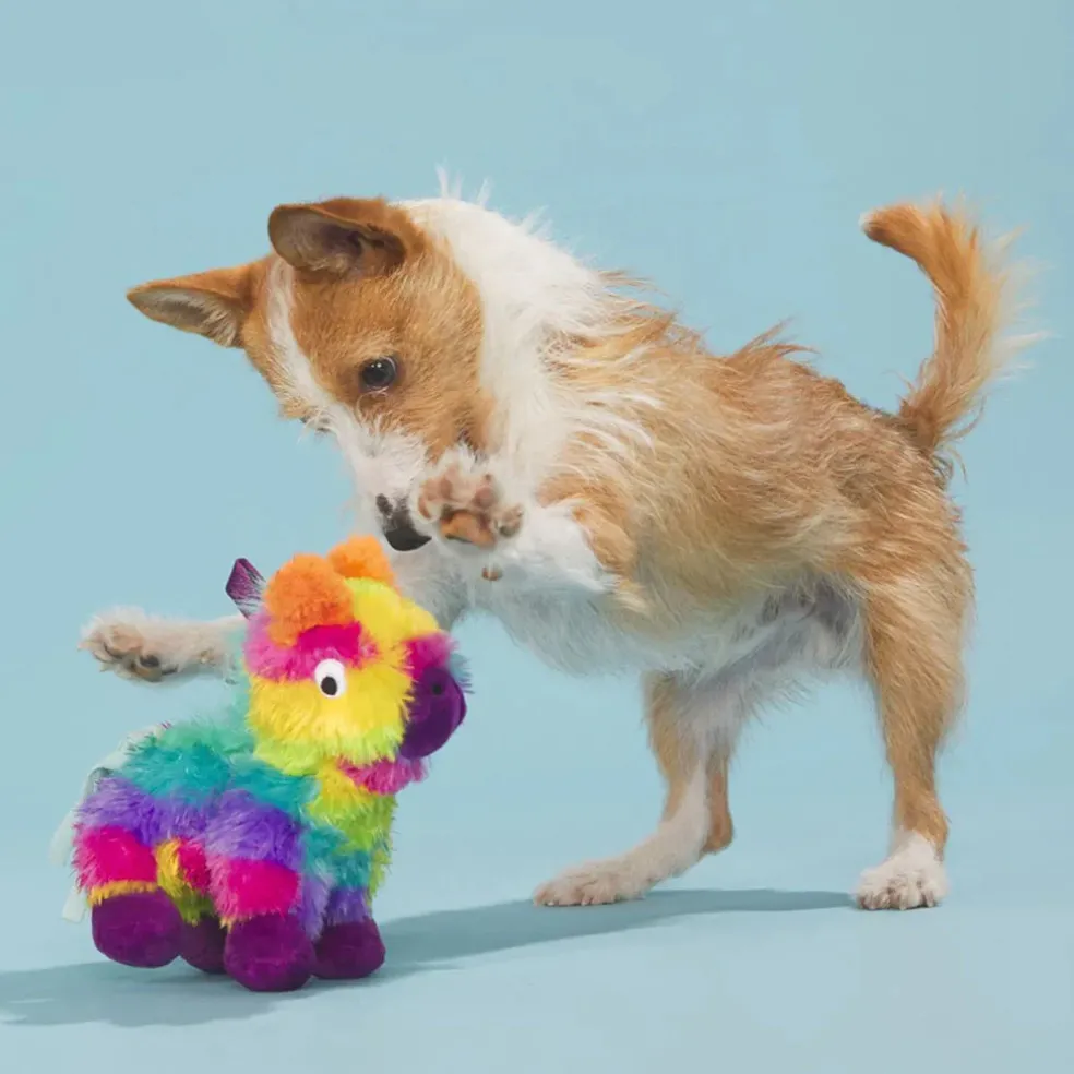 BARK Full o' Fluff Pinata Squeaky Plush Dog Toy