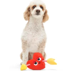 Bark Heart Throbert Heart-Shaped Plush Dog Toy
