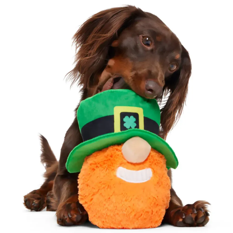 BARK Paddy O’Belly Leprechaun St. Patrick’s Day Theme Plush Dog Toy