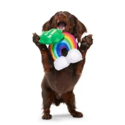 BARK Puppy Charms St. Patrick’s Day Theme Clover & Rainbow Set Plush Dog Toy