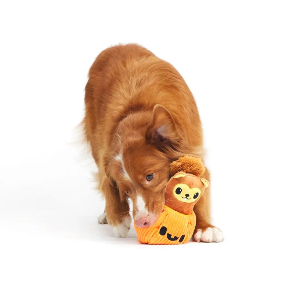 Bark Squirrel O' Lantern Plush Toy For Dogs (Small)