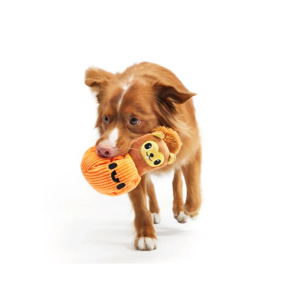 Bark Squirrel O' Lantern Plush Toy For Dogs (Small)