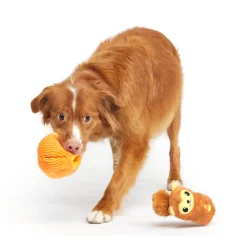 Bark Squirrel O' Lantern Plush Toy For Dogs (Small)