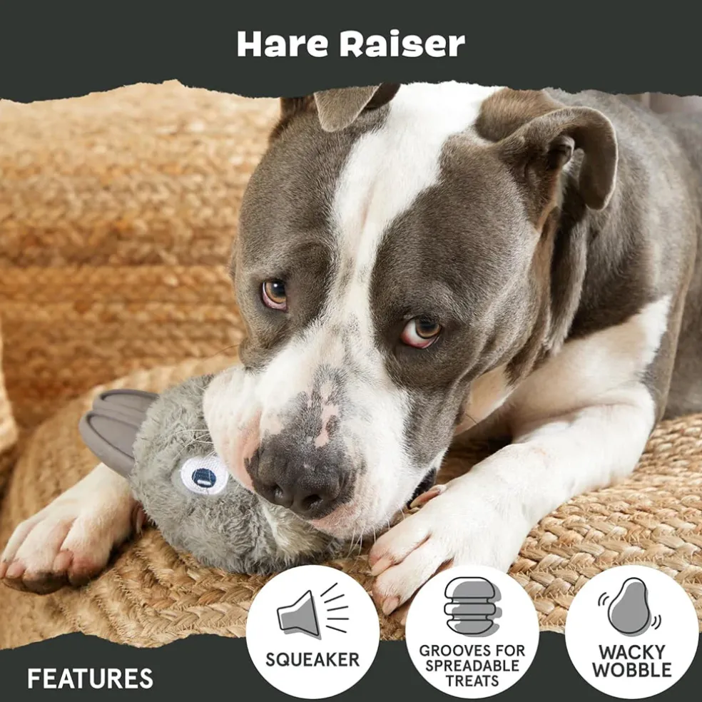 BARK Super Chewer Hare Raiser 2-in-1 Plush Exterior with Tough Center Treat Dispensing Dog Chew Toy