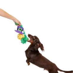 BARK Tuggy Charms St. Patrick's Day Plush Dog Toy