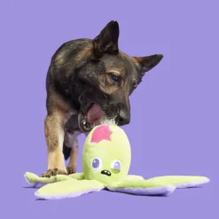 Bark Undead Ollie the Octopus Plush Toy For Dogs